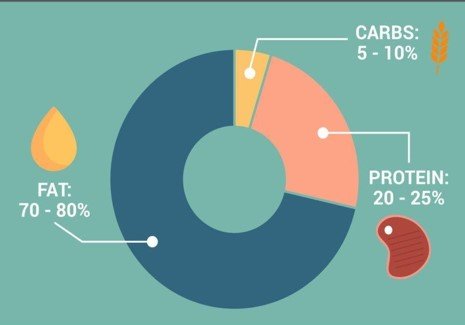 The Science Behind the Keto Diet and Exercise for Weight Loss